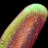 Sassy Pants Opal Moonstone Multichrome Loose Eyeshadow