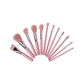 THE IDEAL 12PC BRUSH SET