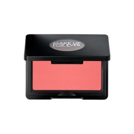 B230 Wherever Rose Artist Blush
