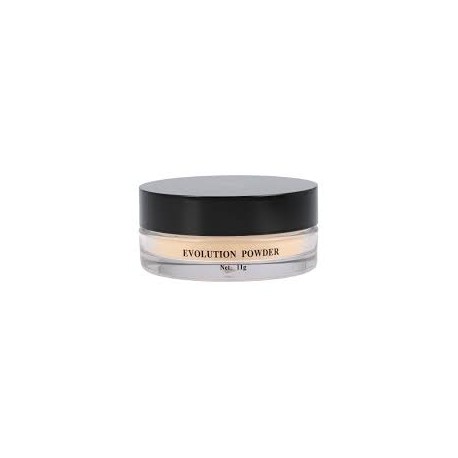 Evolution Powder 2