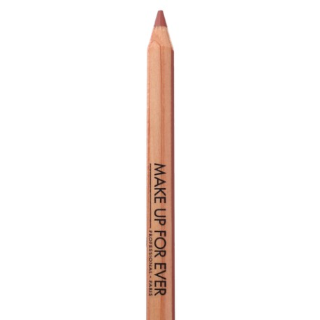 Artist Color Pencil  606 - Wherever Walnut