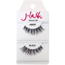 J Lash WSP